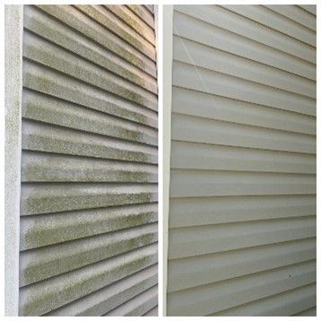 This Client is Preserve the Life of Their Vinyl Siding with a Routine House Wash in Stockbridge, GA